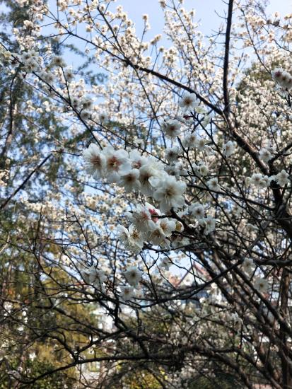 31ea0dfee750432f8ee31d23ed20a167.Jpeg 31ea0dfee750432f8ee31d23ed20a167.Jpeg