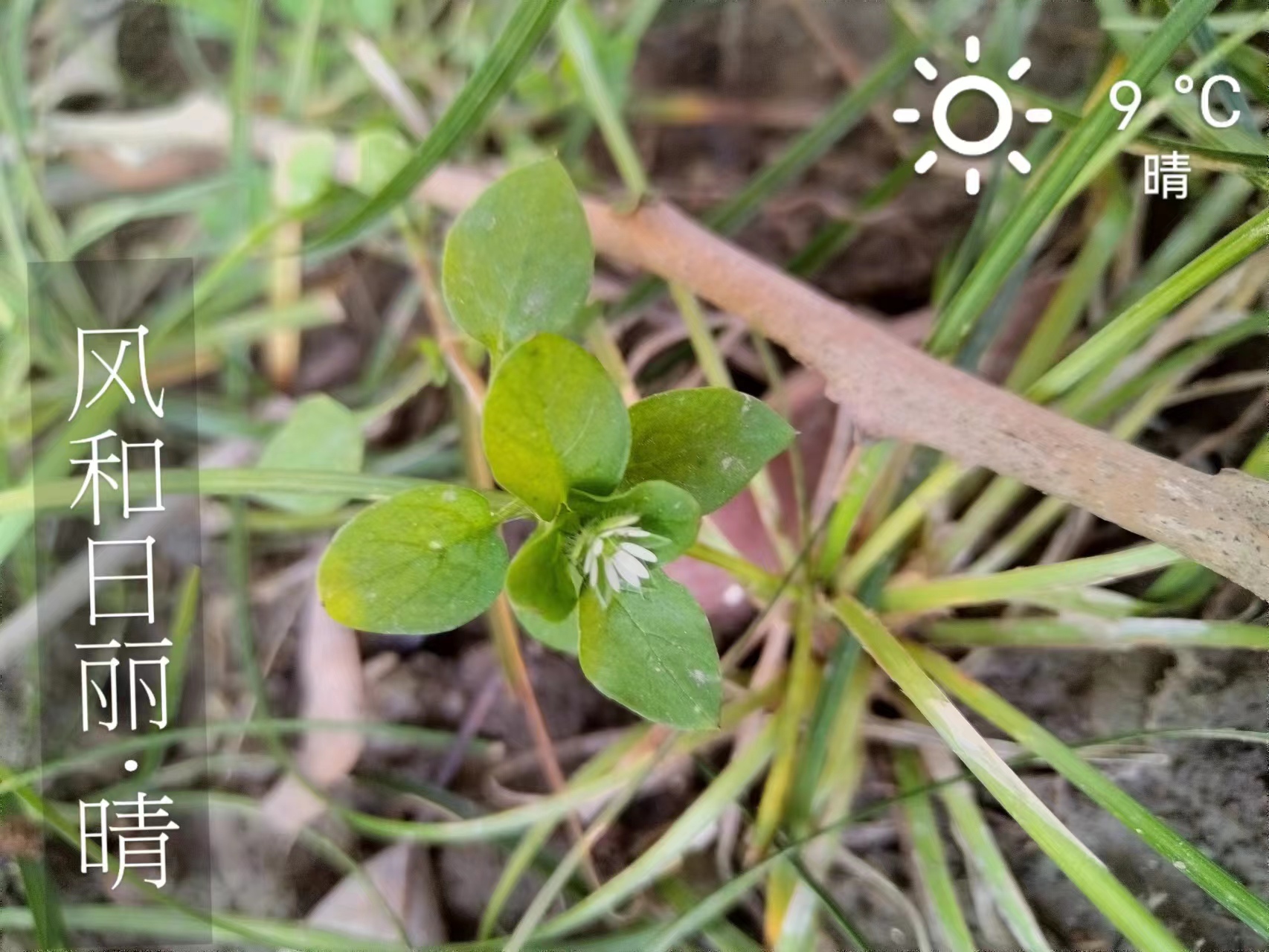 9c0a70eaed464e969fb0d46ae0988740.Jpeg 9c0a70eaed464e969fb0d46ae0988740.Jpeg