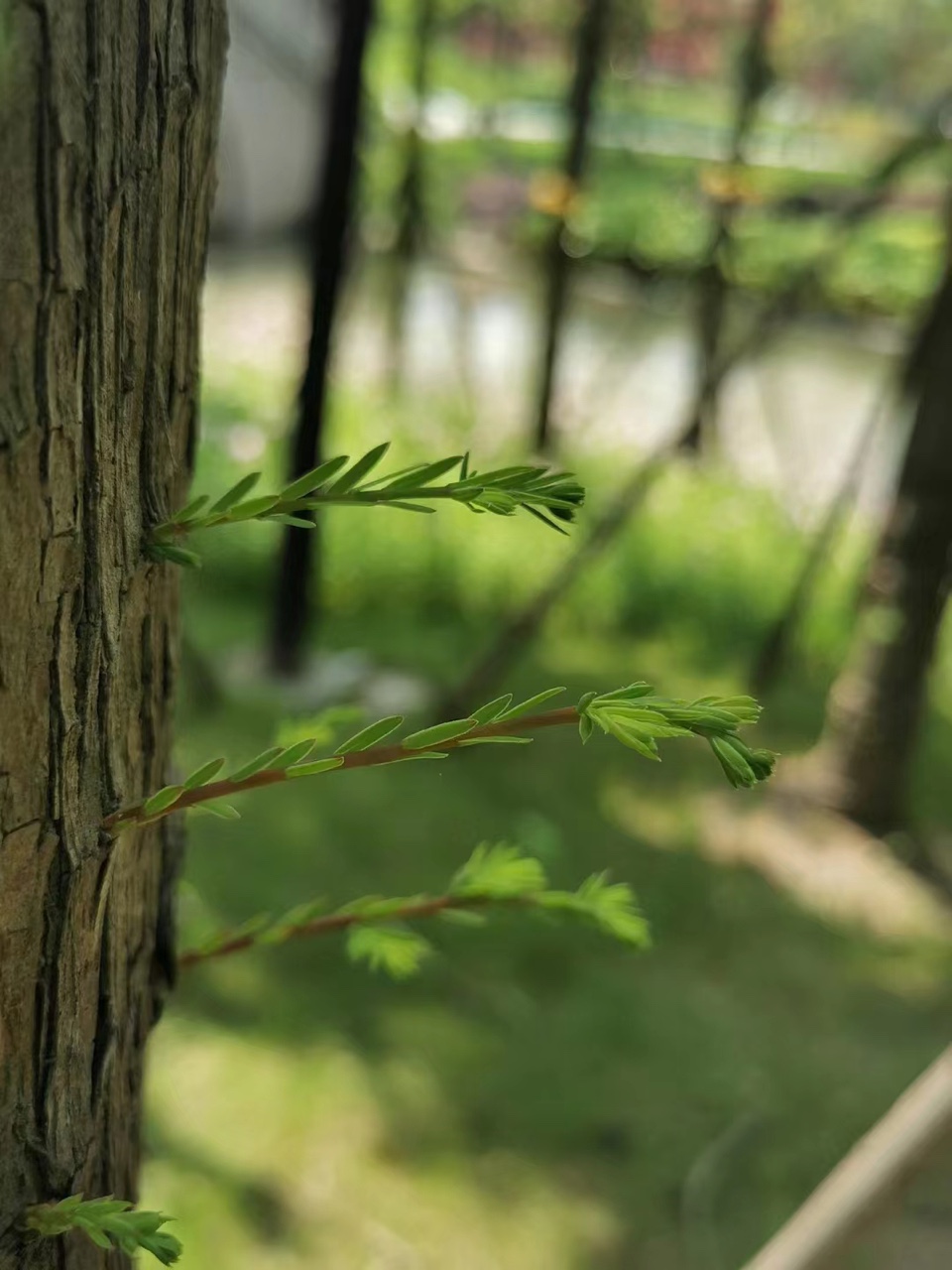 bfa2c55e25144b1787976d5230deec1b.jpg bfa2c55e25144b1787976d5230deec1b.jpg