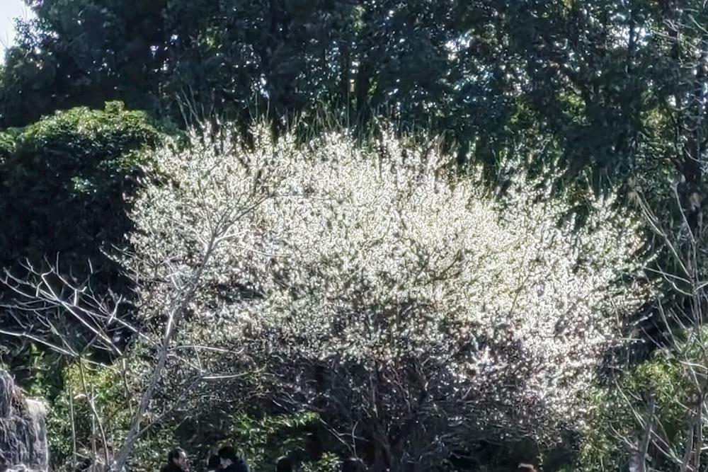 4f073f626fcd4f69aa666972e35adfec.jpg 4f073f626fcd4f69aa666972e35adfec.jpg