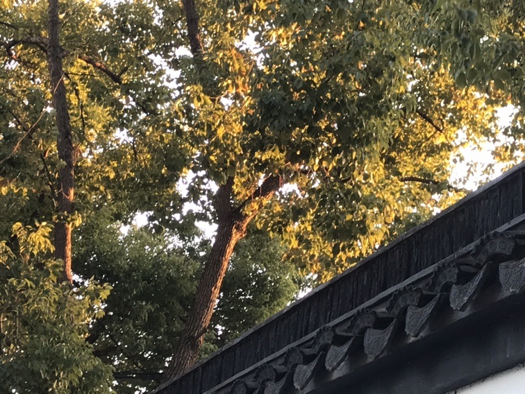 5efd20147f994cc282f5cf4f83bf1af7.JPG 5efd20147f994cc282f5cf4f83bf1af7.JPG