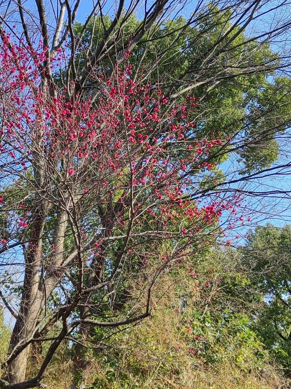 9b612295c3ce415d8c271cbeb0c2430c.jpg 9b612295c3ce415d8c271cbeb0c2430c.jpg