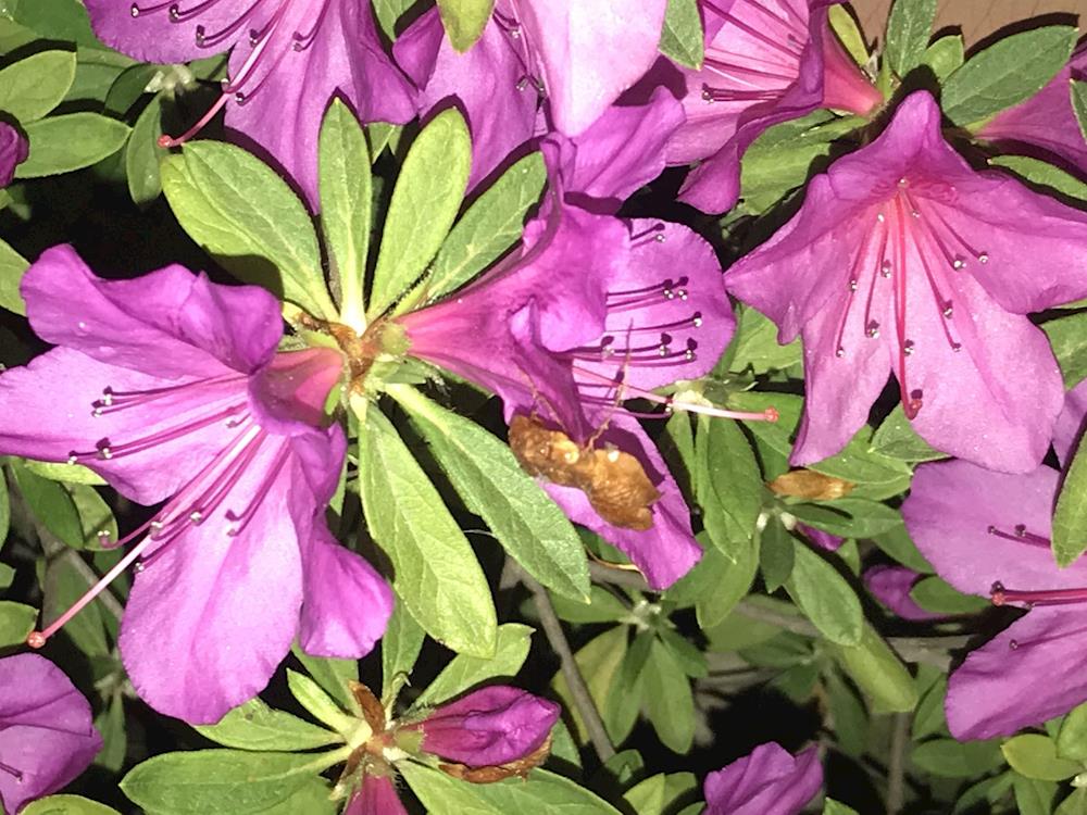 d8072050ac9949ab9994d3bf99a8f6ce.jpg d8072050ac9949ab9994d3bf99a8f6ce.jpg