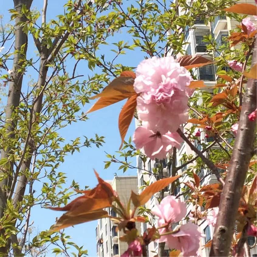 ec19f28e7b284482a2752d9a038508f7.jpg ec19f28e7b284482a2752d9a038508f7.jpg