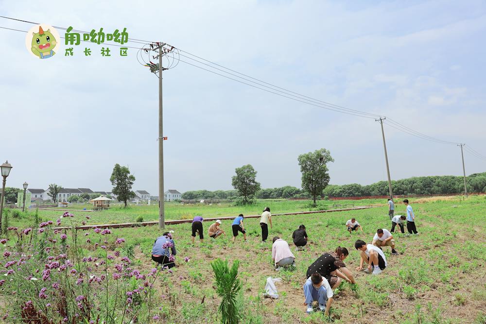 52971a80cc2d4283a446d978ff048545.jpg 52971a80cc2d4283a446d978ff048545.jpg