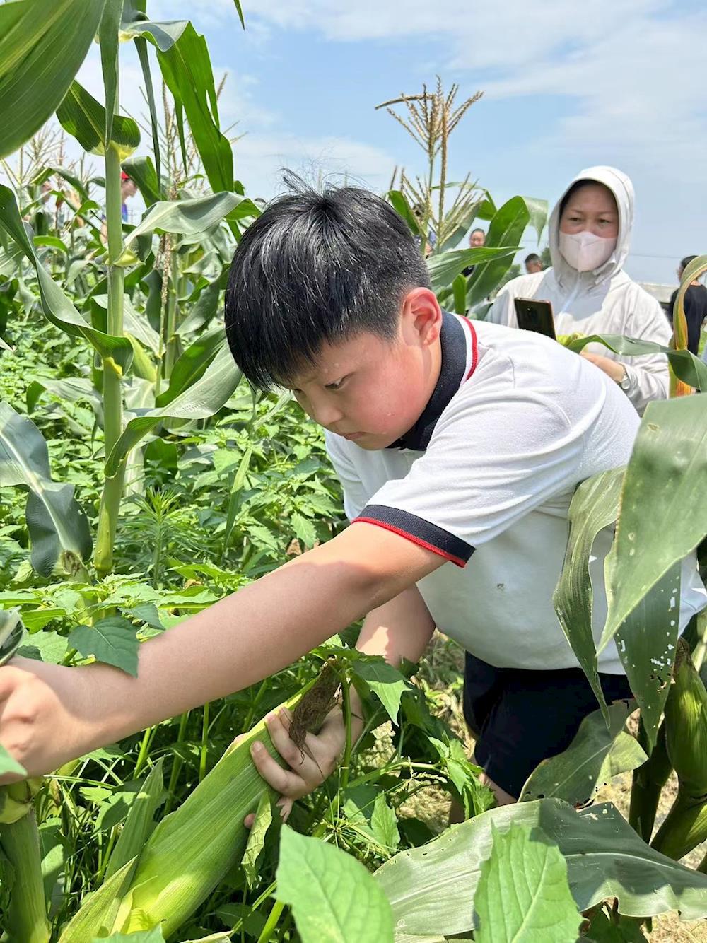 82f04ca43ecf4b39be15e5488173fc61.jpg 82f04ca43ecf4b39be15e5488173fc61.jpg