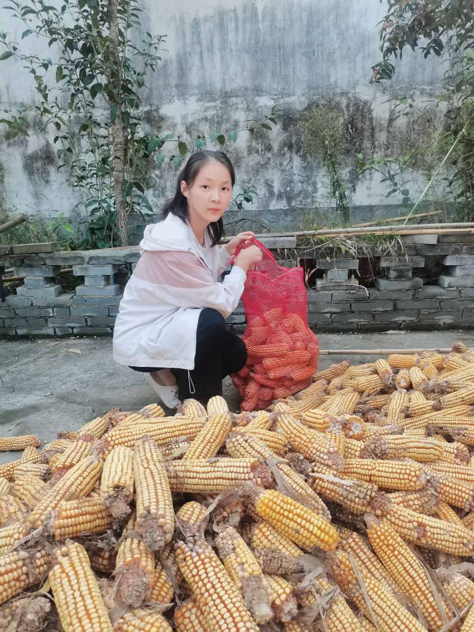 173f6c343b114746992be59e4146b4e8.jpg 173f6c343b114746992be59e4146b4e8.jpg