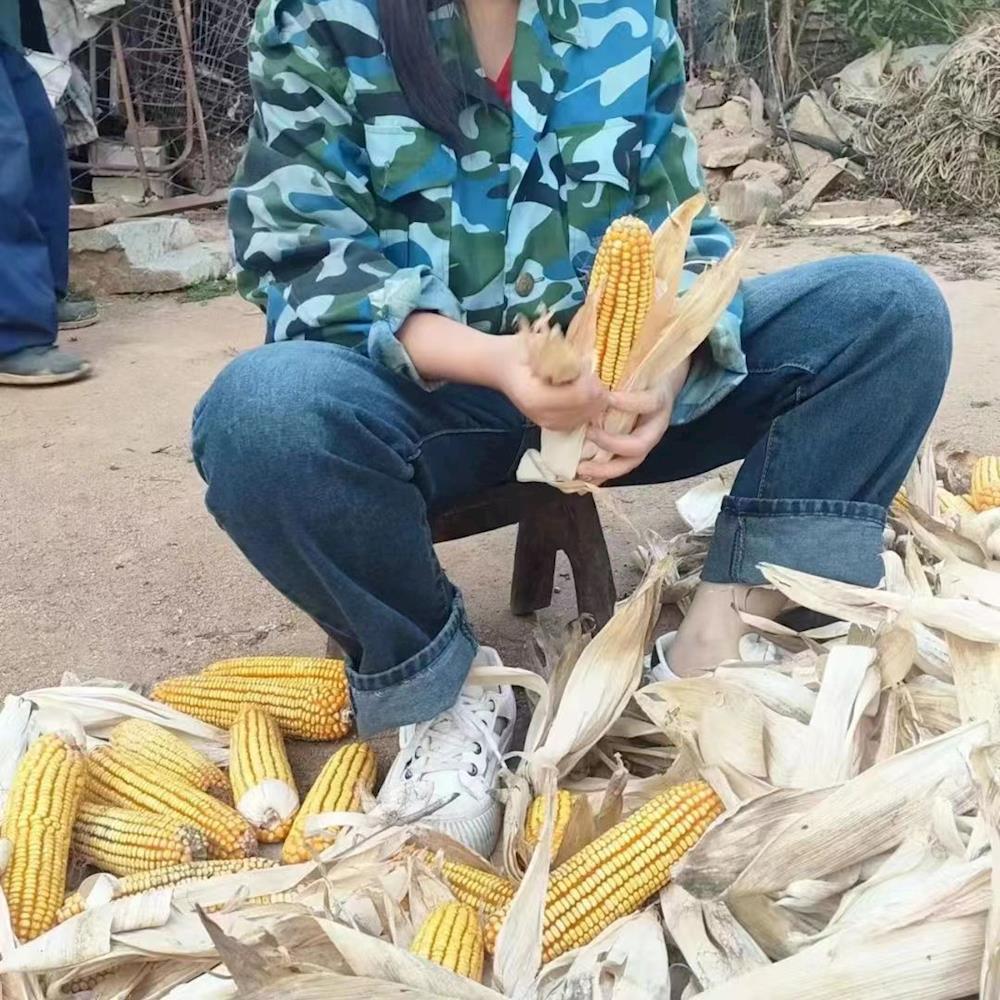 84932f2b7e8941fbb7736297eade0c2b.jpg 84932f2b7e8941fbb7736297eade0c2b.jpg