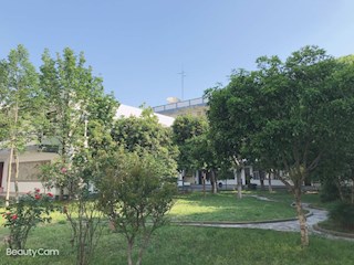 校园掠影（四）